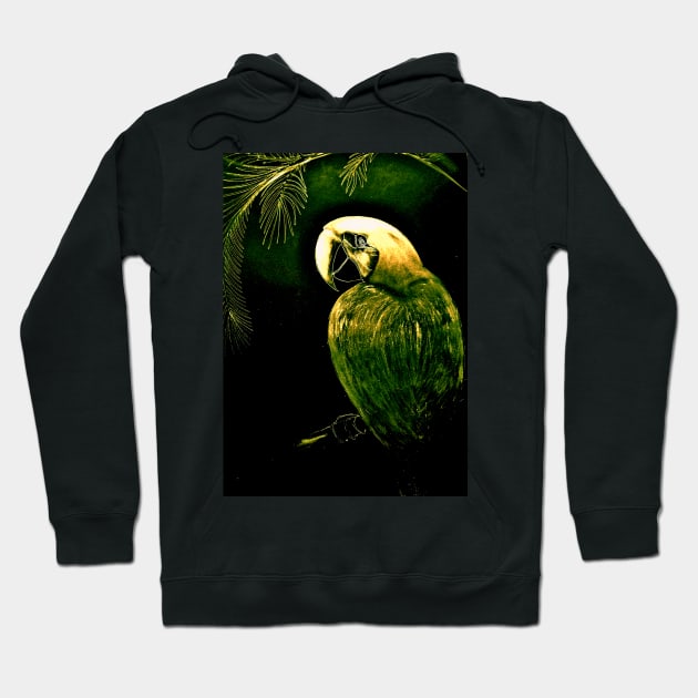 GREEN GOLD MACAW ON BLACK Hoodie by jacquline8689
